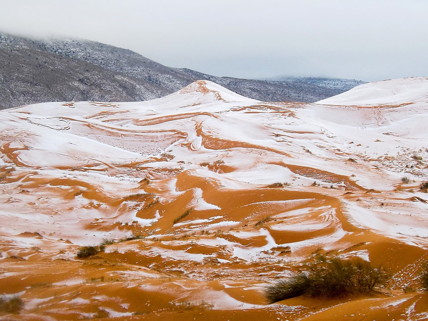 Những[-]sự[-]thật[-]bất[-]ngờ[-]về[-]sa[-]mạc[-]Sahara[-]